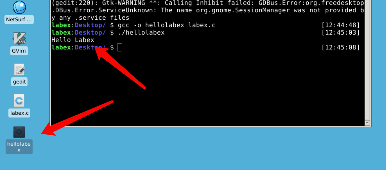 终端显示 Hello LabEx