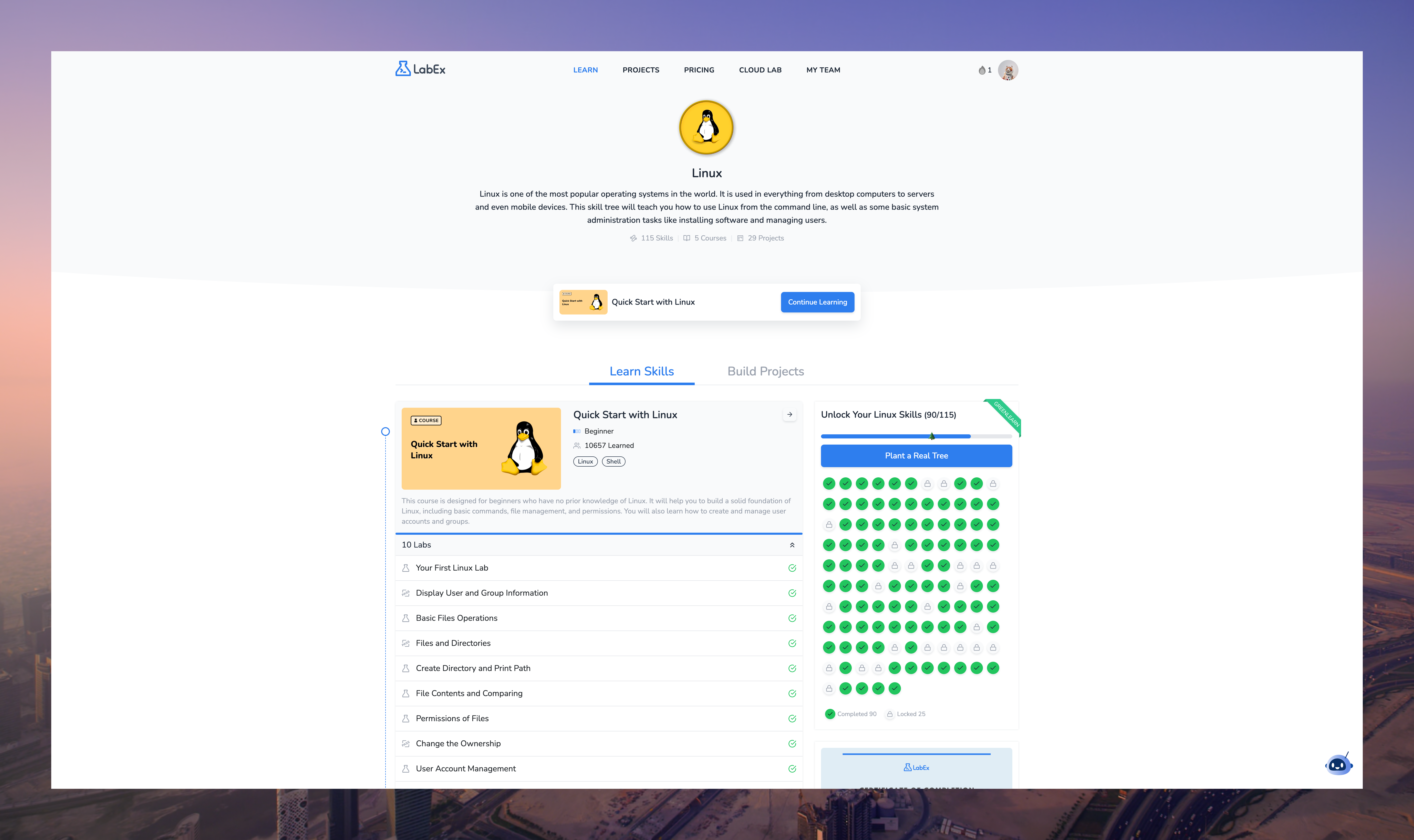 精选课程部分视图