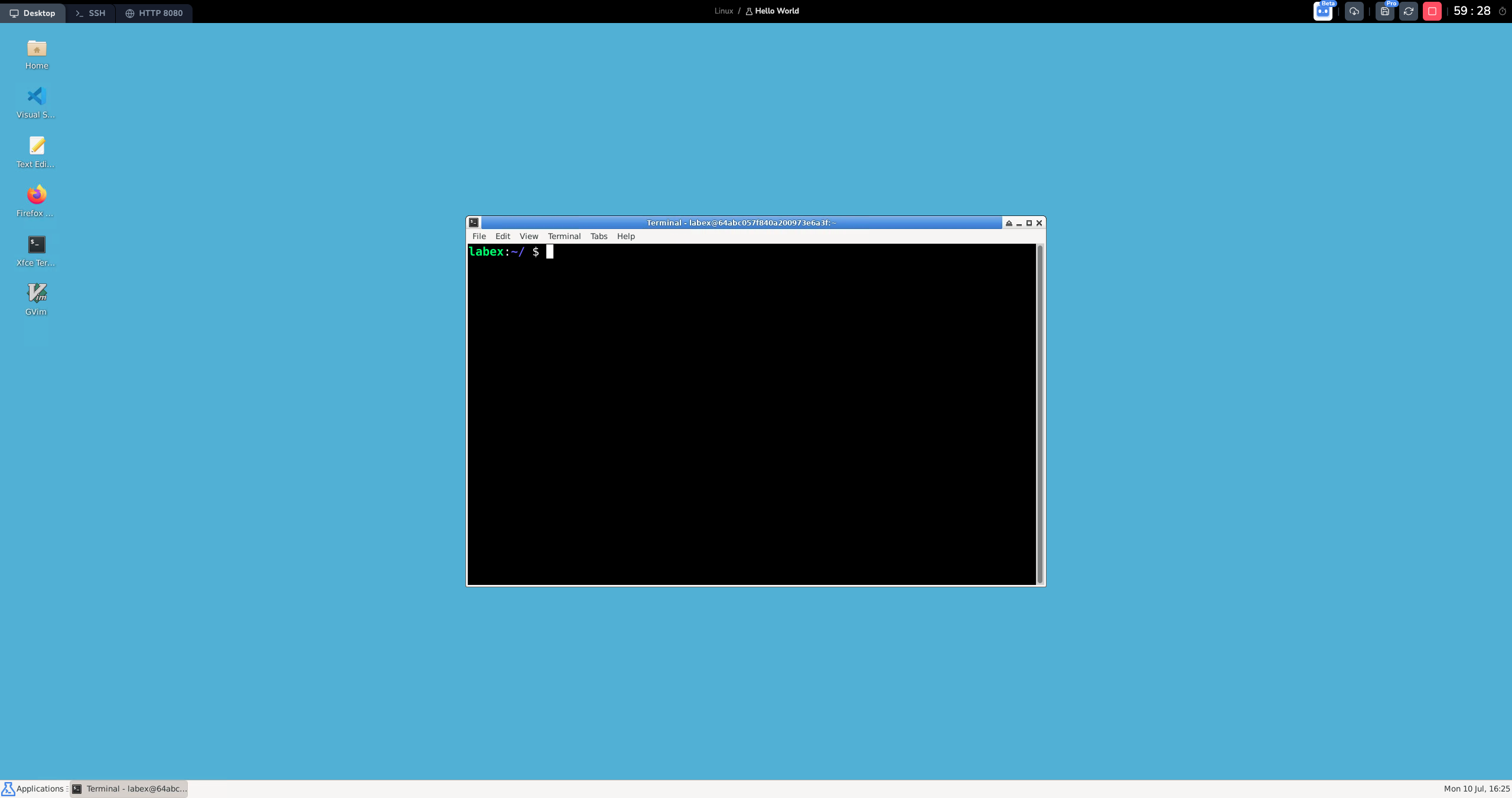 LabEx 虚拟机界面