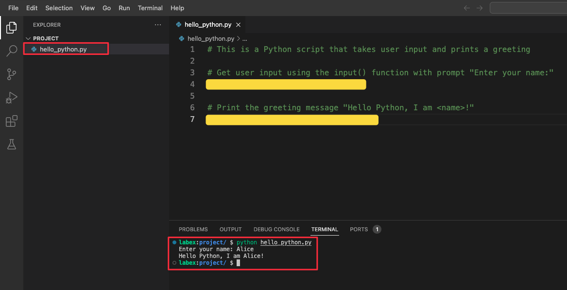 Python code editor interface