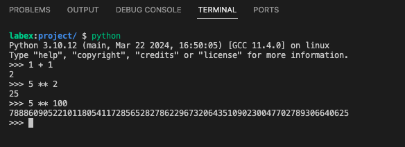 Python interactive shell output