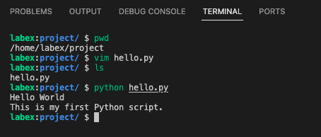 Python script output in terminal