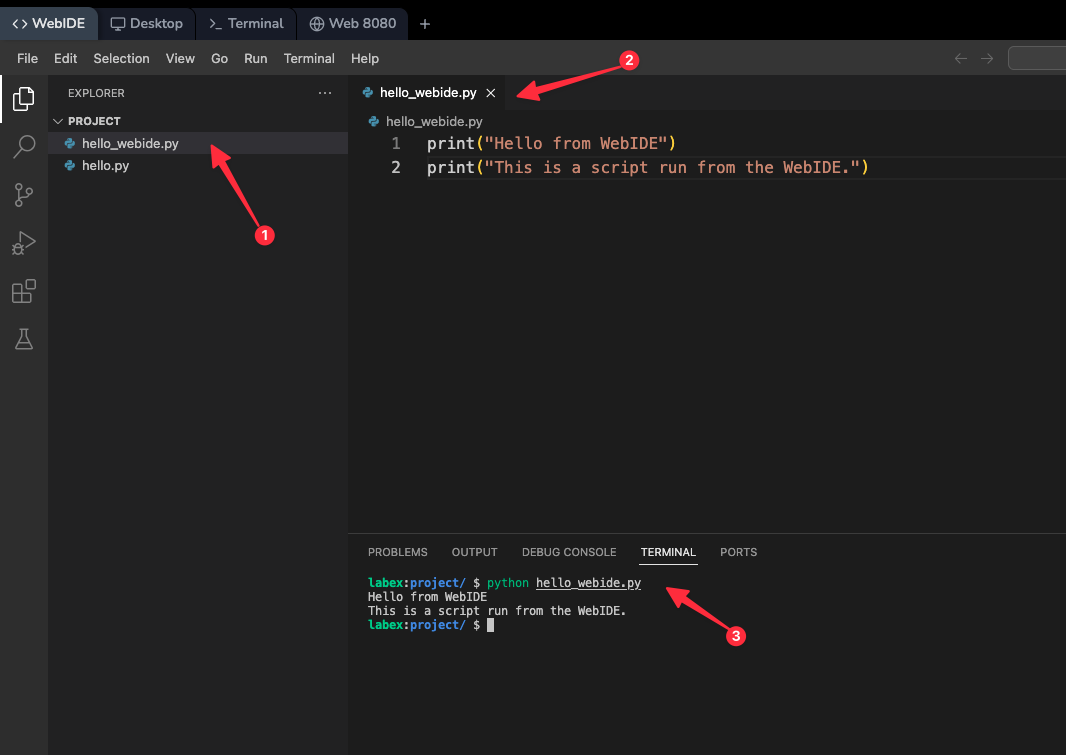 Script output in WebIDE terminal