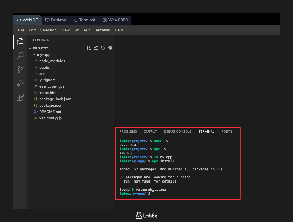 Node 및 npm 버전 확인 출력