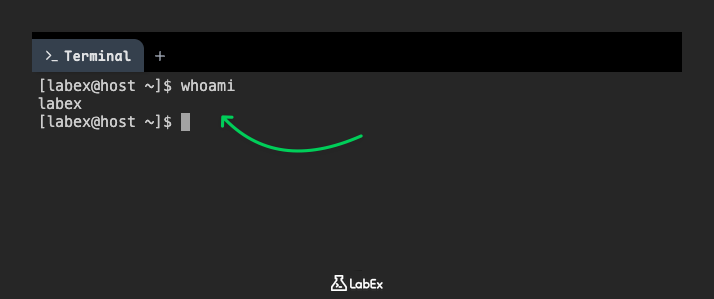 Screenshot of whoami command output