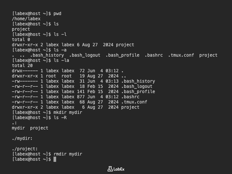 Command line ls output example