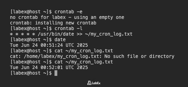 Cron job output in log file