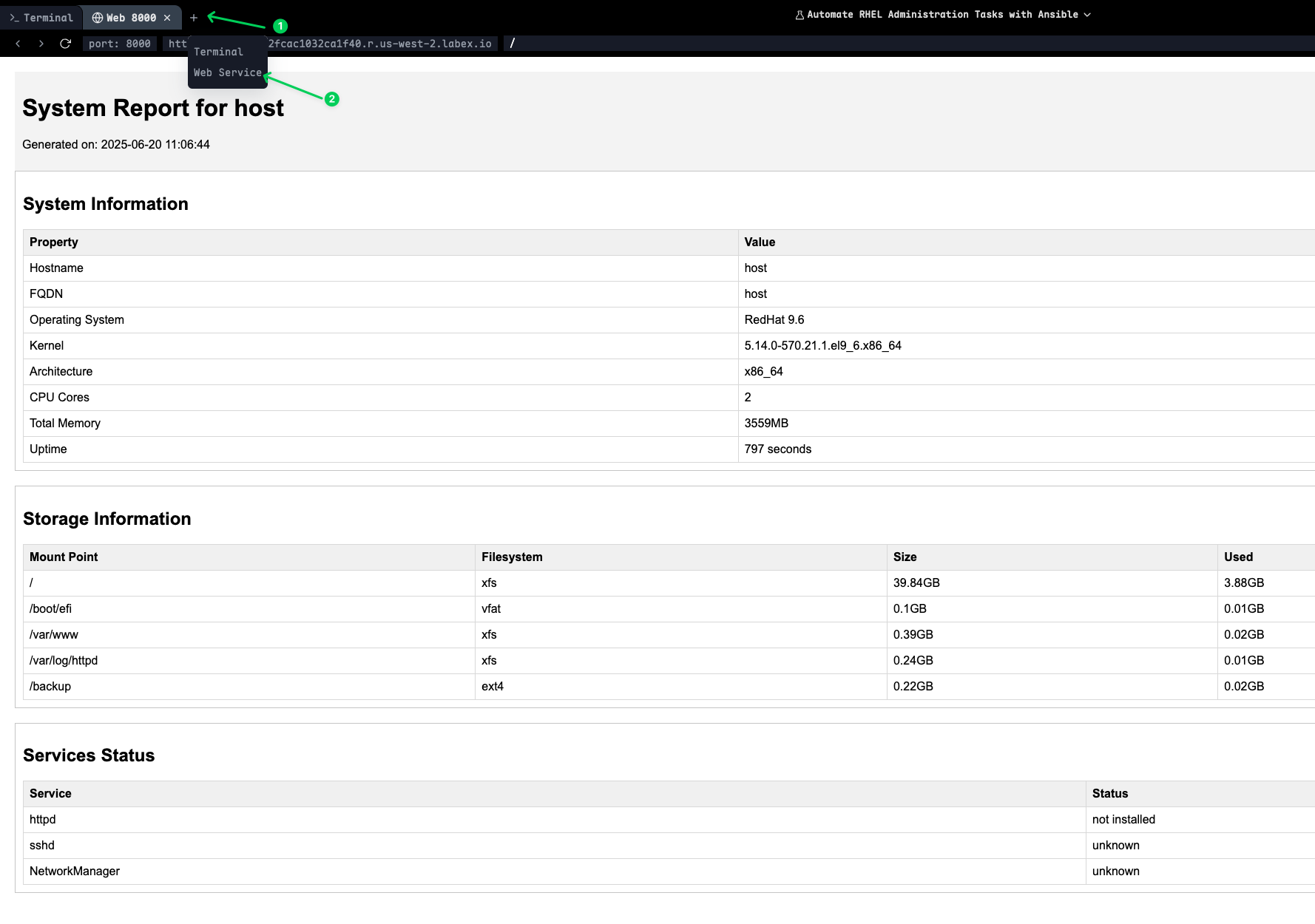 Preview the generated reports in a web browser