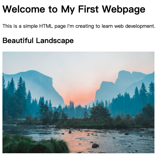 HTML 页面的实时预览