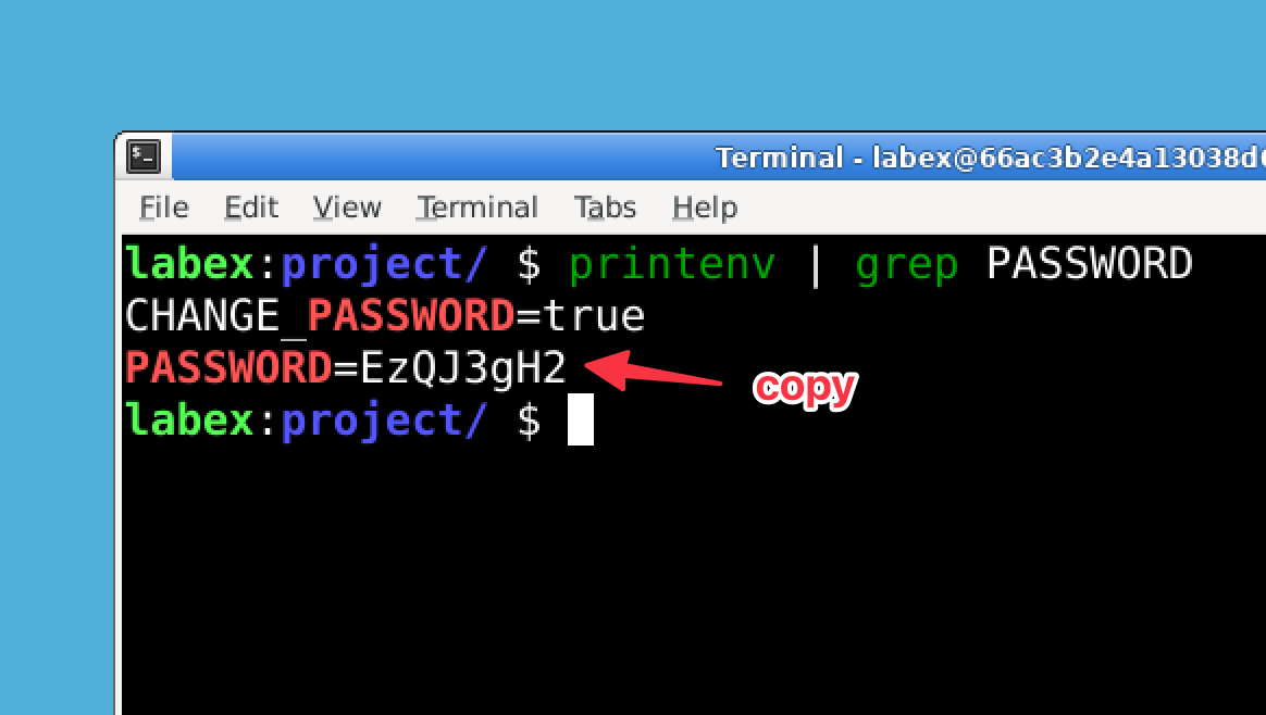 SSH Copy-ID 'No Identities Found' エラーの解決方法 | LabEx