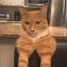 Ali B.