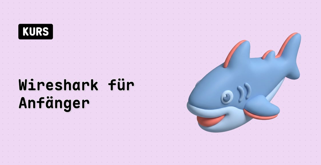 Wireshark für Anfänger
