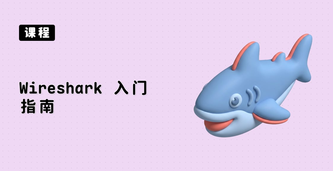 Wireshark 入门指南