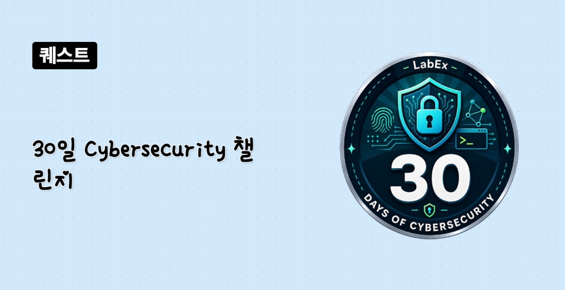 30일 Cybersecurity 챌린지