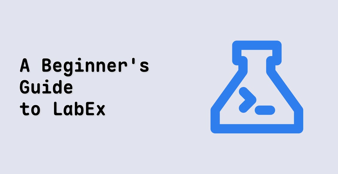 A Beginner's Guide to LabEx