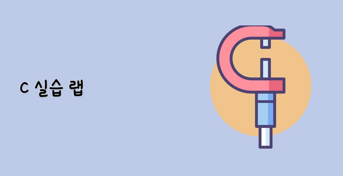 C 실습 랩