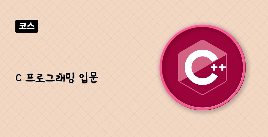 C++ 프로그래밍 입문