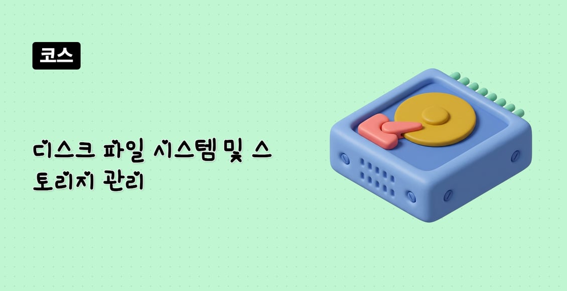 디스크 파일 시스템 및 스토리지 관리