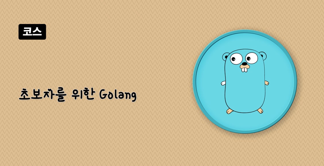 초보자를 위한 Golang