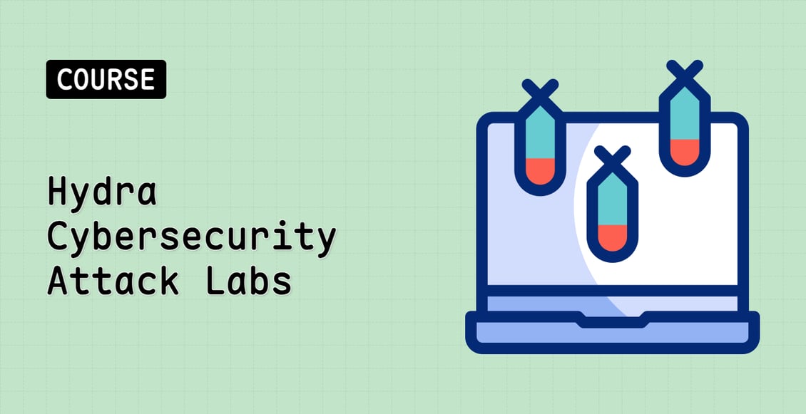 Hydra Cybersecurity Attack Labs