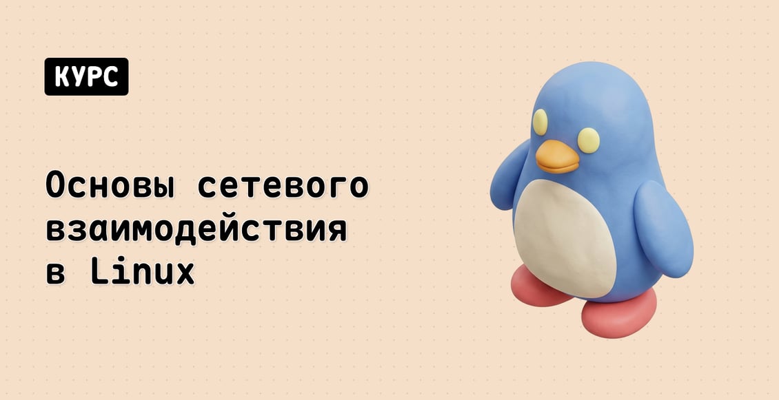 Основы сетевого взаимодействия в Linux