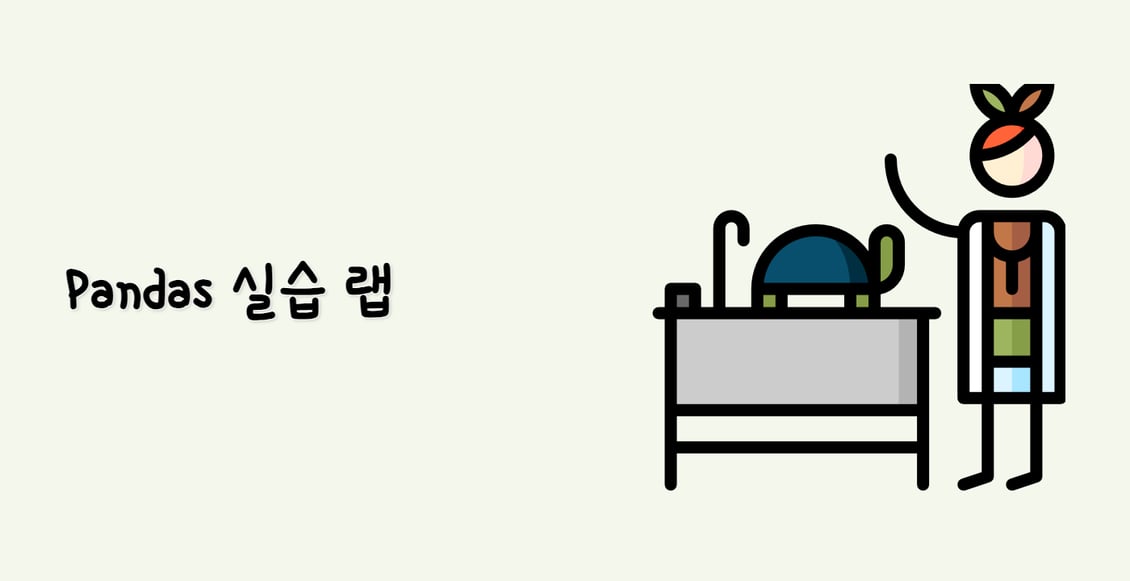 Pandas 실습 랩