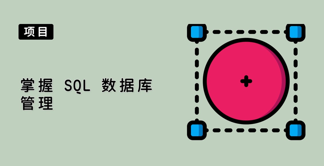 掌握 SQL 数据库管理