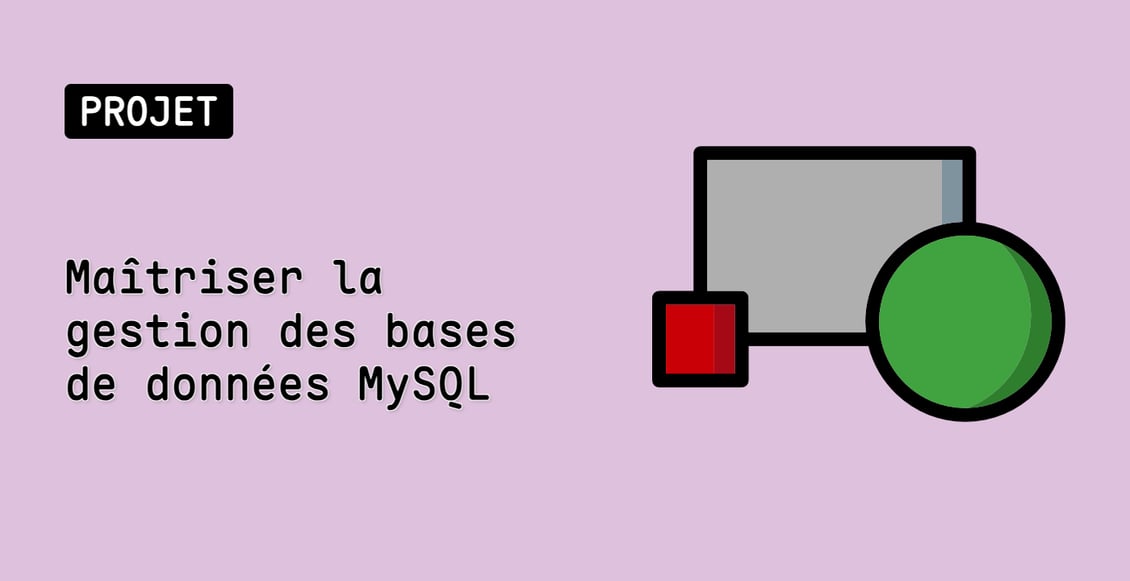 Maîtriser la gestion des bases de données MySQL