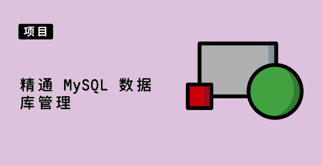 精通 MySQL 数据库管理