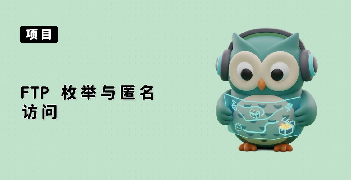 FTP 枚举与匿名访问