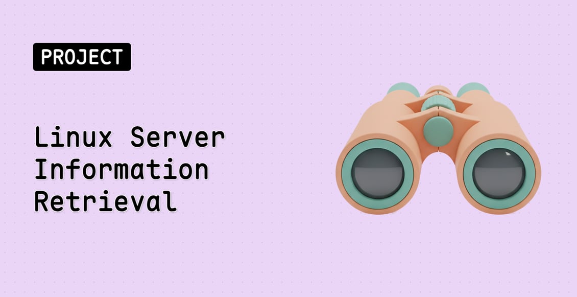 Linux Server Information Retrieval