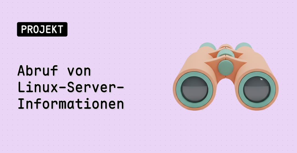 Abruf von Linux-Server-Informationen