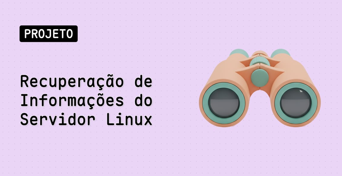 Recuperação de Informações do Servidor Linux