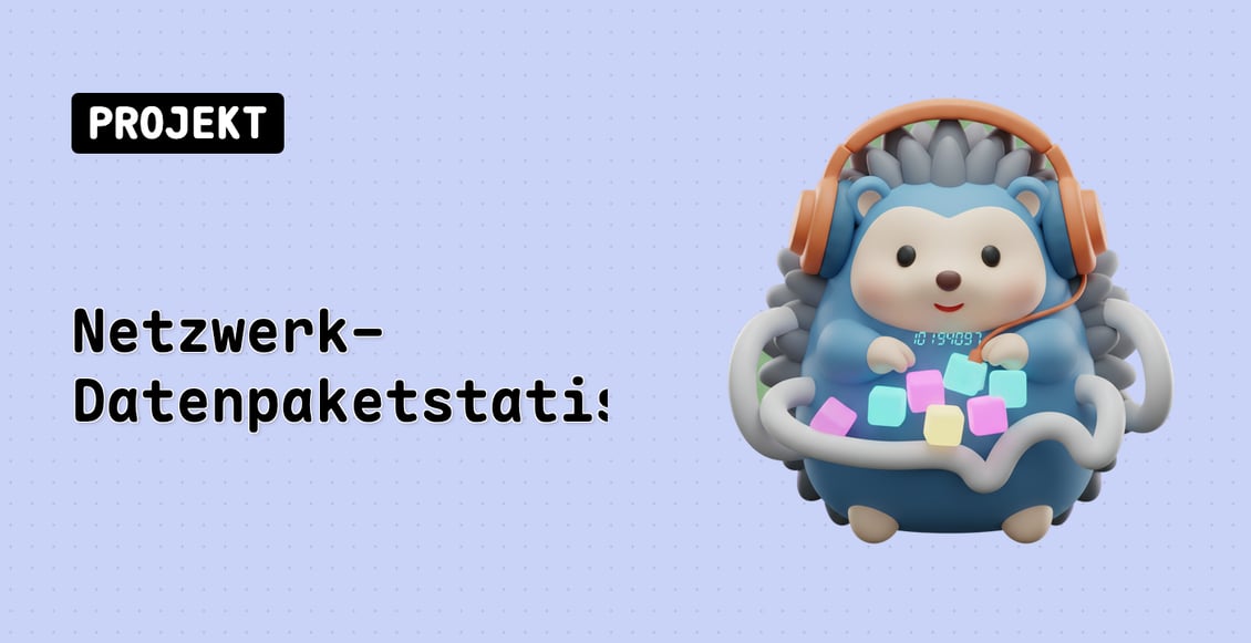Netzwerk-Datenpaketstatistiken