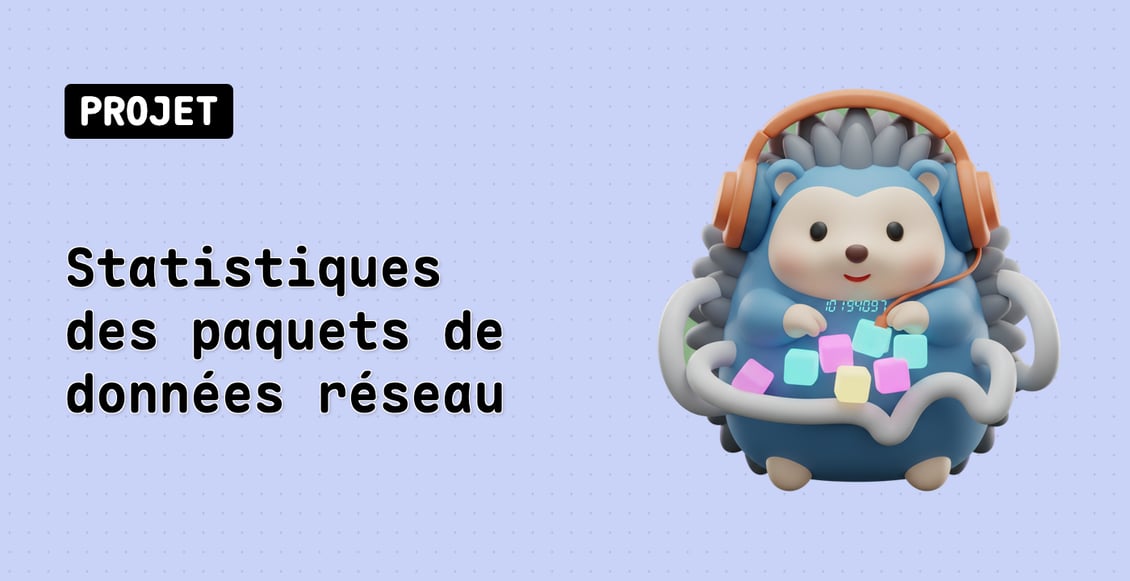 Statistiques des paquets de données réseau