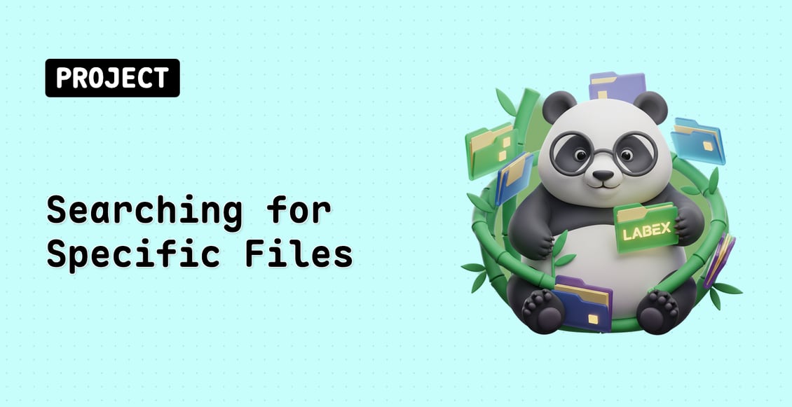 Searching for Specific Files