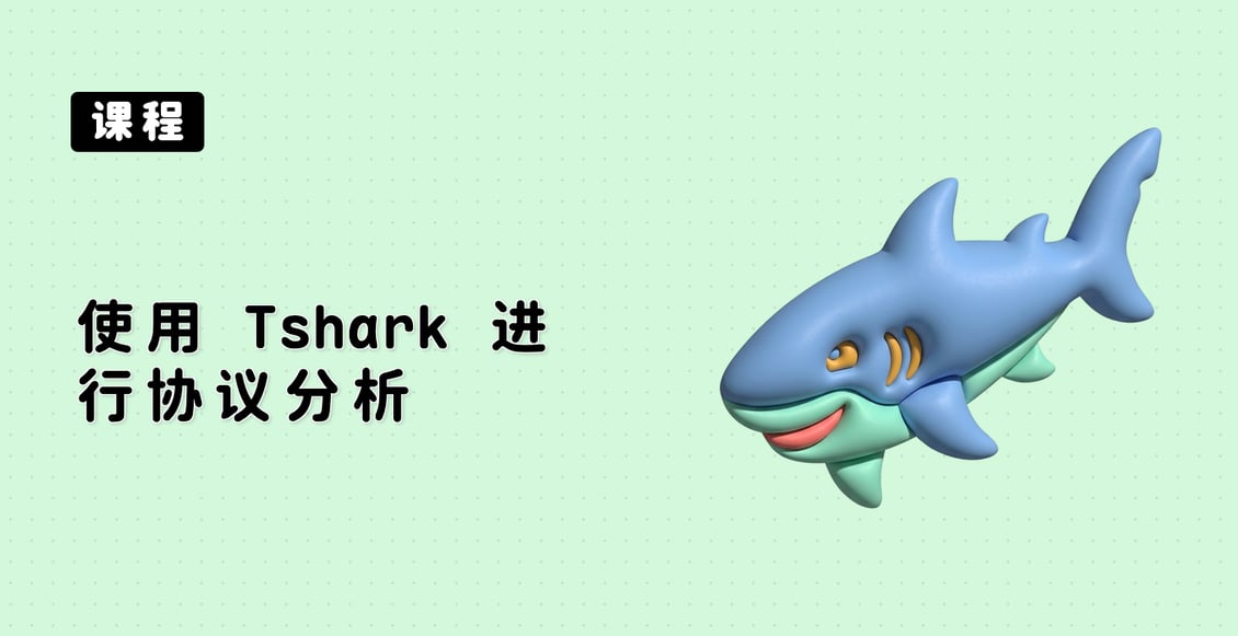 使用 Tshark 进行协议分析