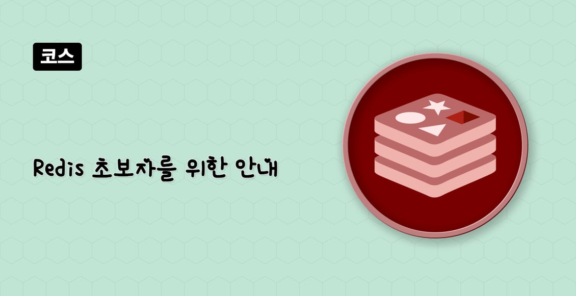 Redis 초보자를 위한 안내
