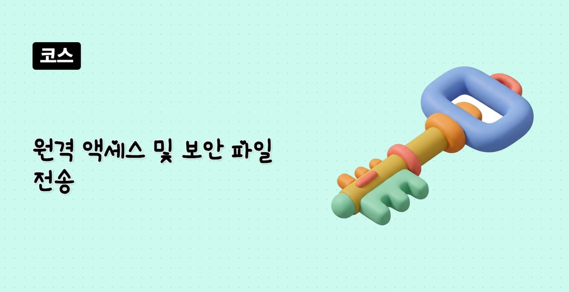 원격 액세스 및 보안 파일 전송