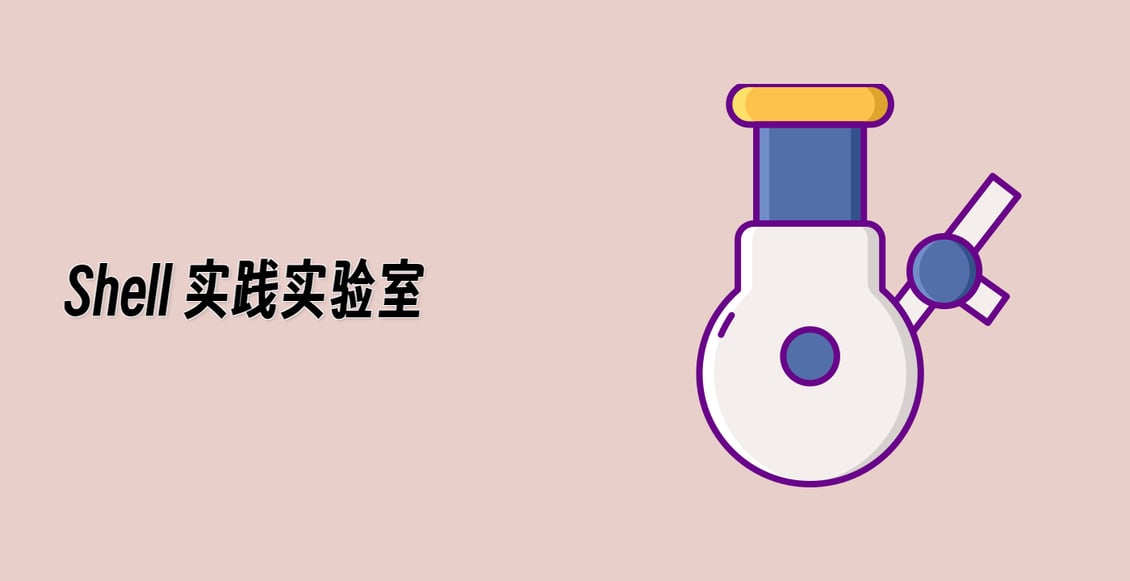 Shell 实践实验室