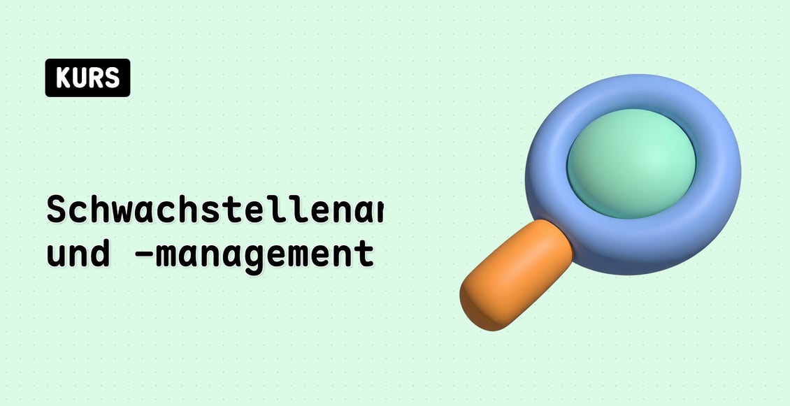 Schwachstellenanalyse und -management