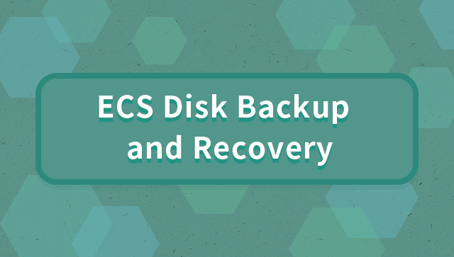 ECS Disk Backup and Recovery